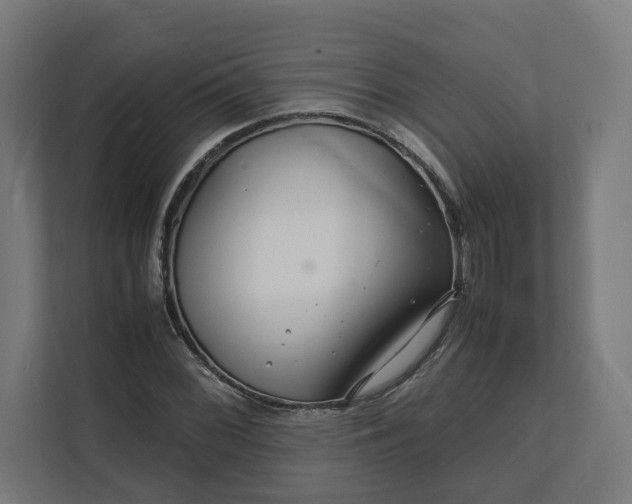 X0000112151068200908211409