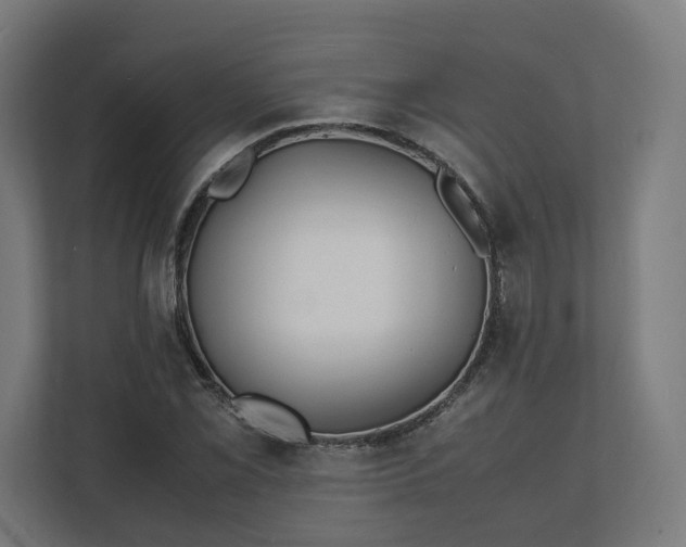 X0000112151069200908211409
