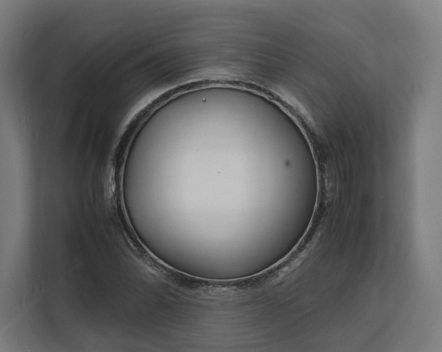 X0000112151070200908211409