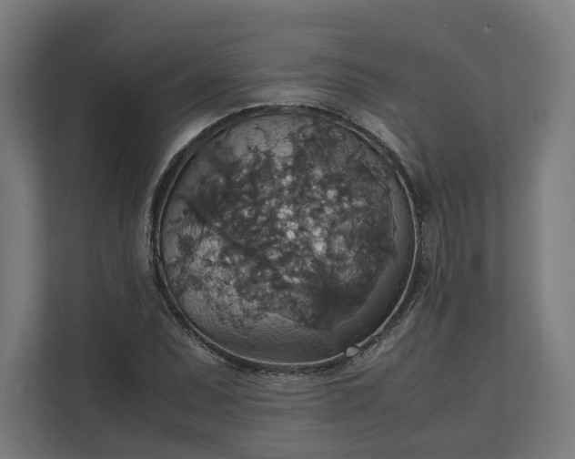 X0000112151071200908211409