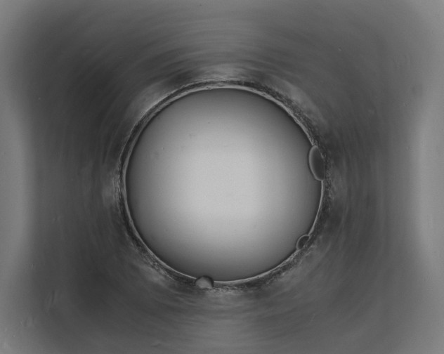 X0000112151073200908211409