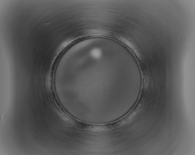 X0000112151074200908211409