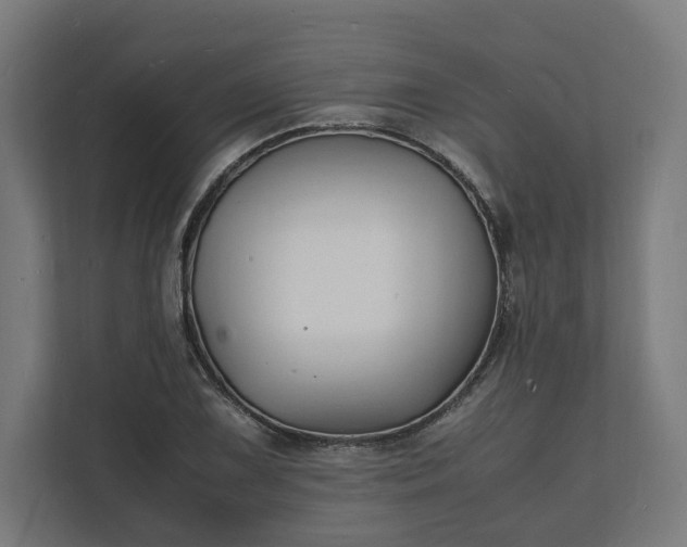 X0000112151075200908211409