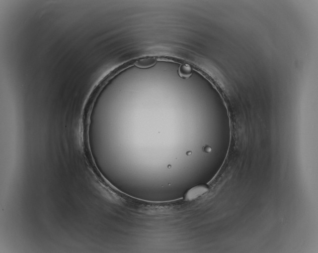X0000112151076200908211409