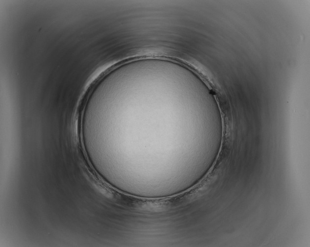X0000112151078200908211409