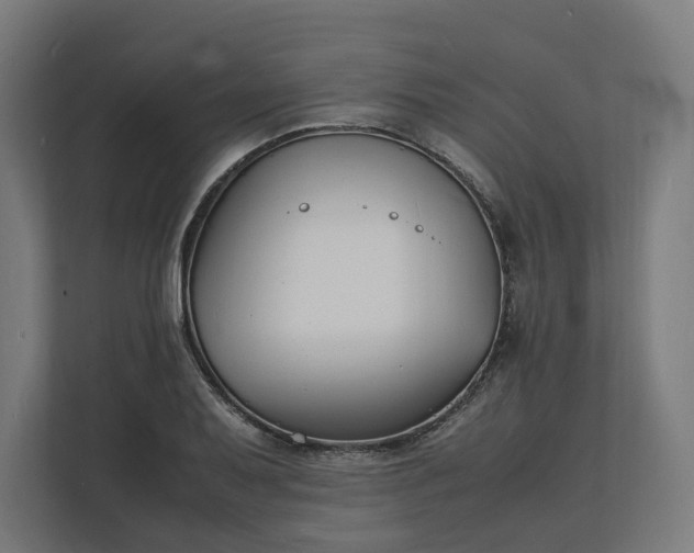 X0000112151079200908211409