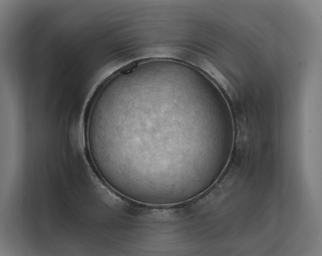 X0000112151080200908211409