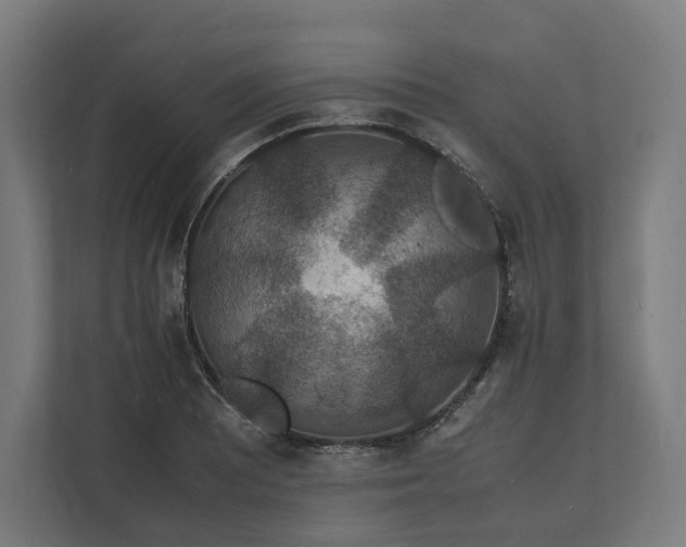 X0000112151081200908211409