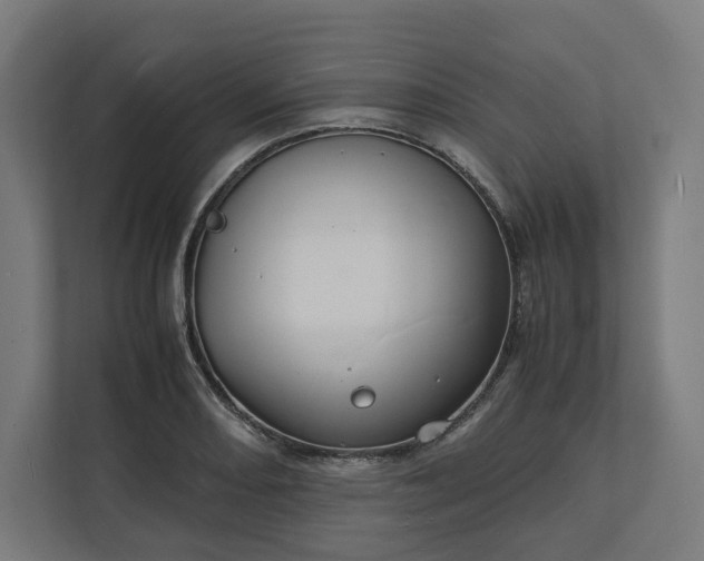 X0000112151082200908211409