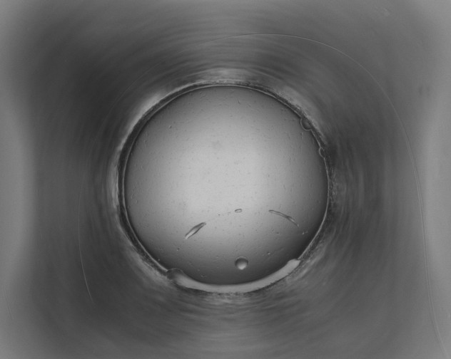 X0000112151083200908211409