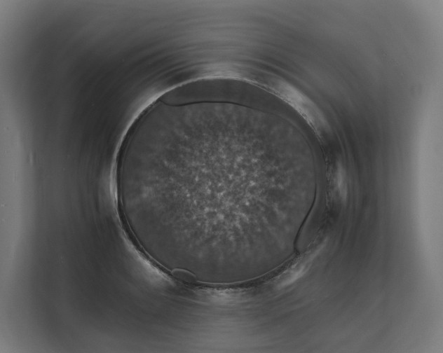 X0000112151084200908211409