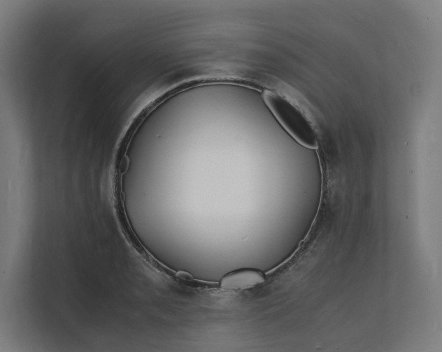 X0000112151085200908211409