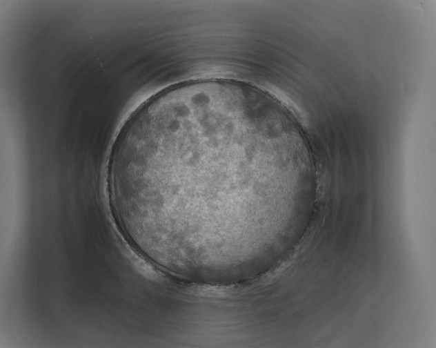 X0000112151086200908211409