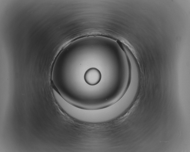 X0000112151089200908211409