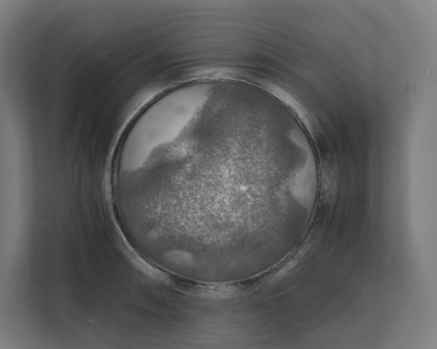 X0000112151090200908211409