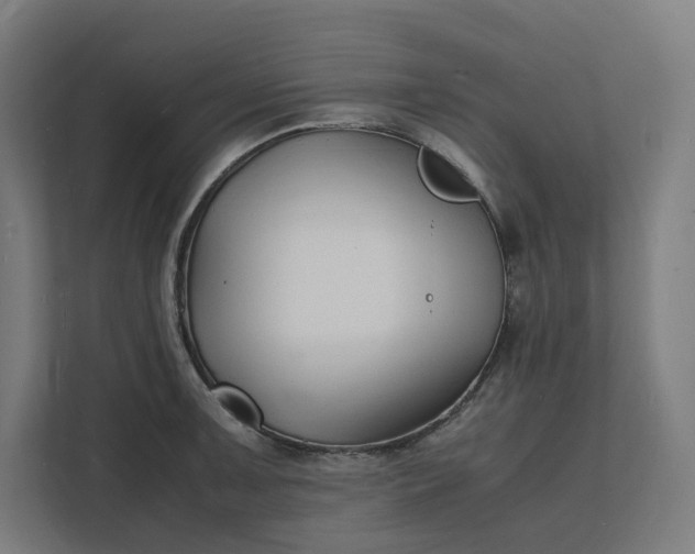 X0000112151091200908211409