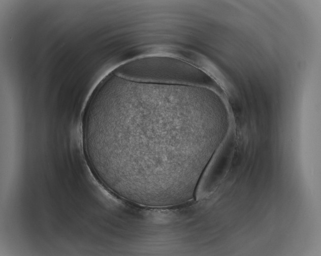 X0000112151092200908211409