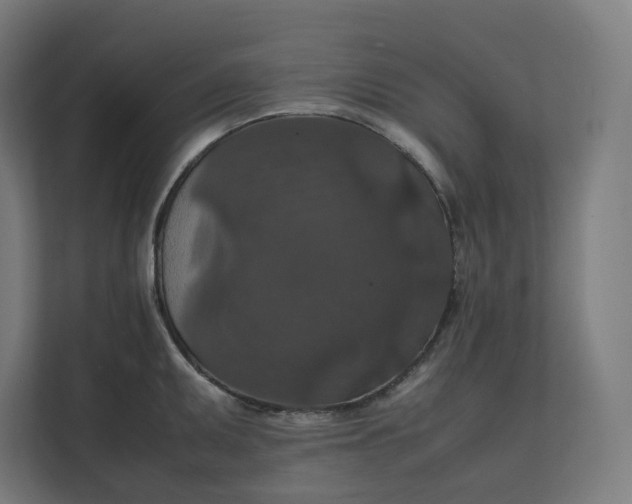 X0000112151095200908211409