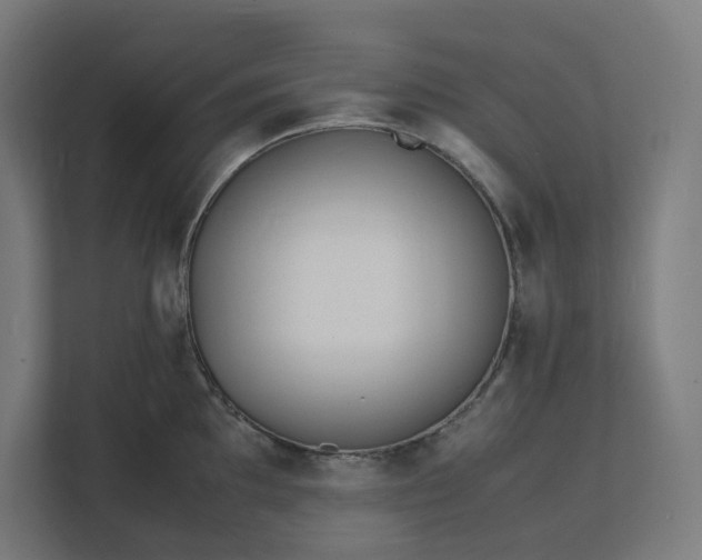 X0000112151097200908211409