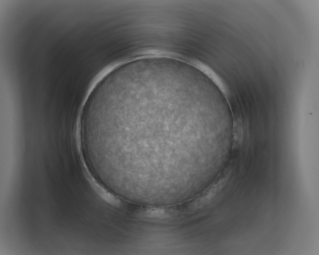 X0000112151098200908211409
