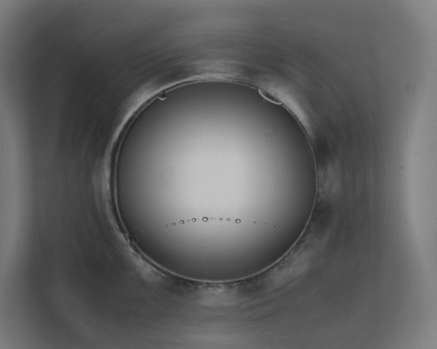 X0000112151099200908211409