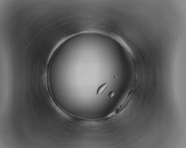 X0000112151100200908211409