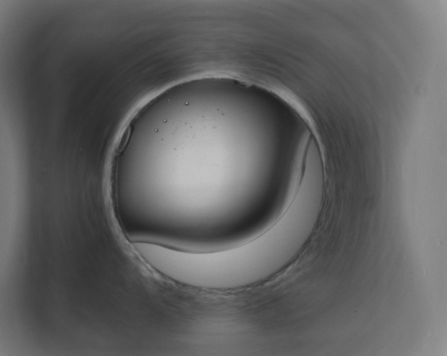 X0000112151104200908211409