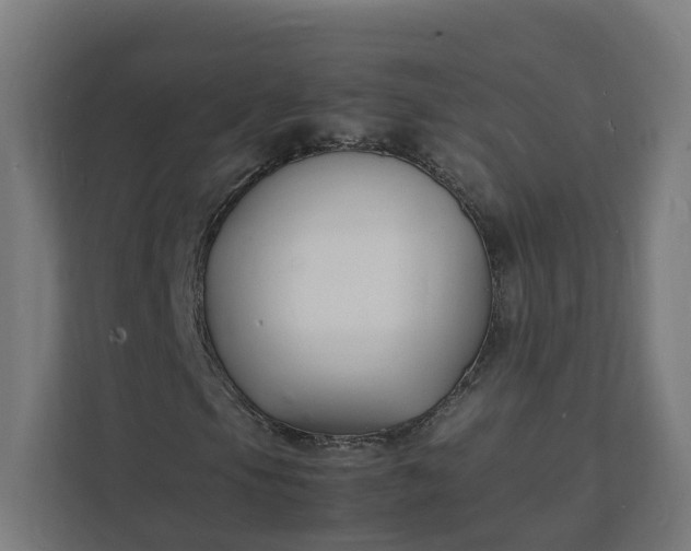 X0000112151105200908211408