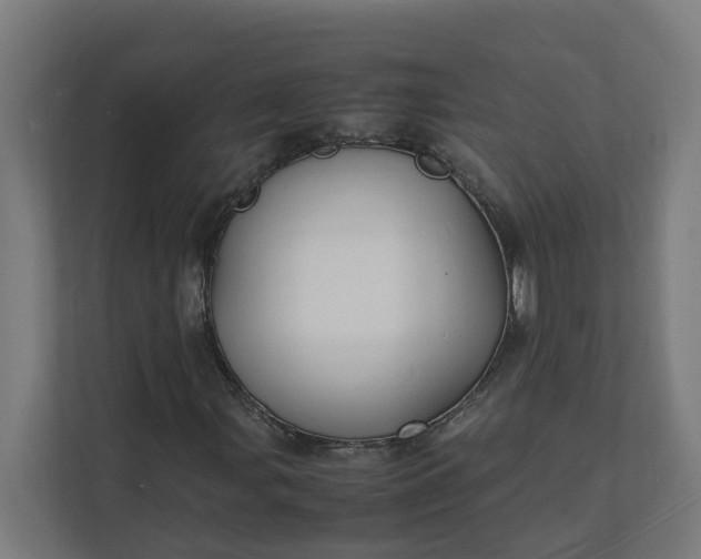 X0000112151107200908211408