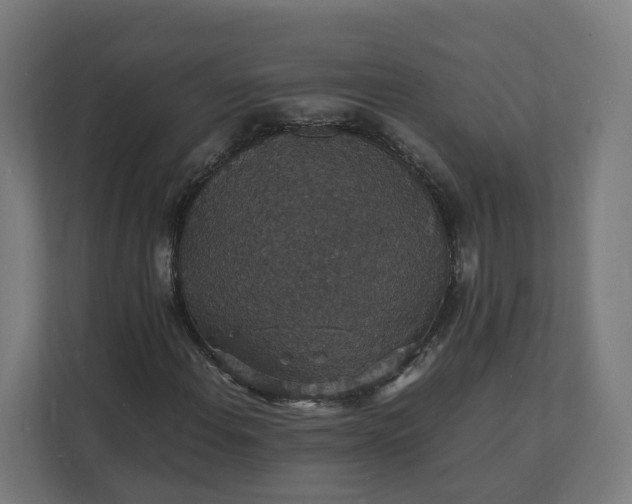 X0000112151108200908211408