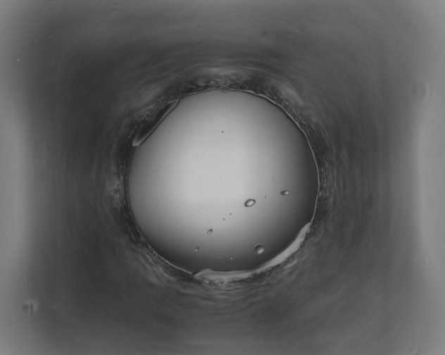 X0000112151109200908211408