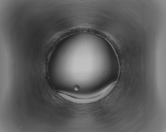 X0000112151110200908211408