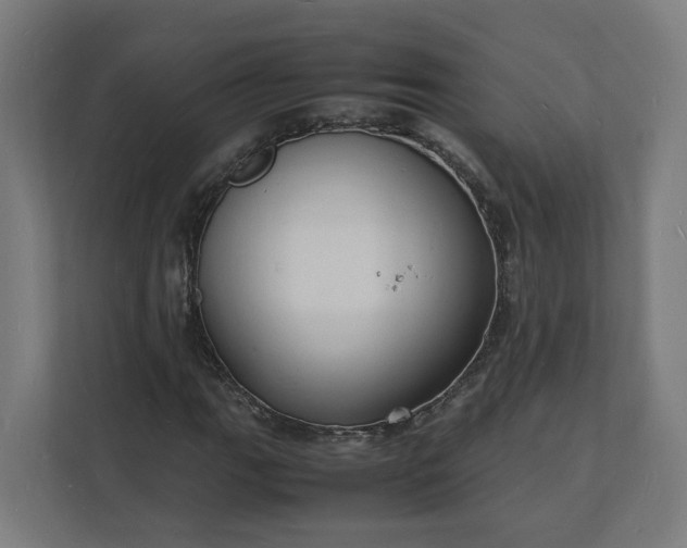 X0000112151111200908211408