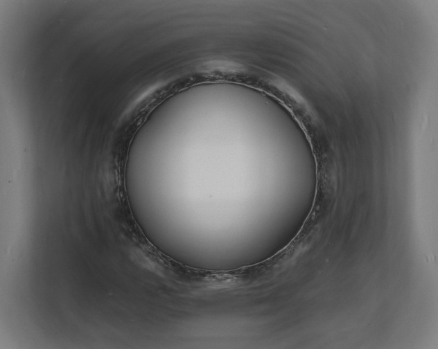 X0000112151112200908211408