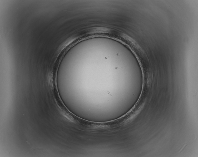 X0000112151113200908211408