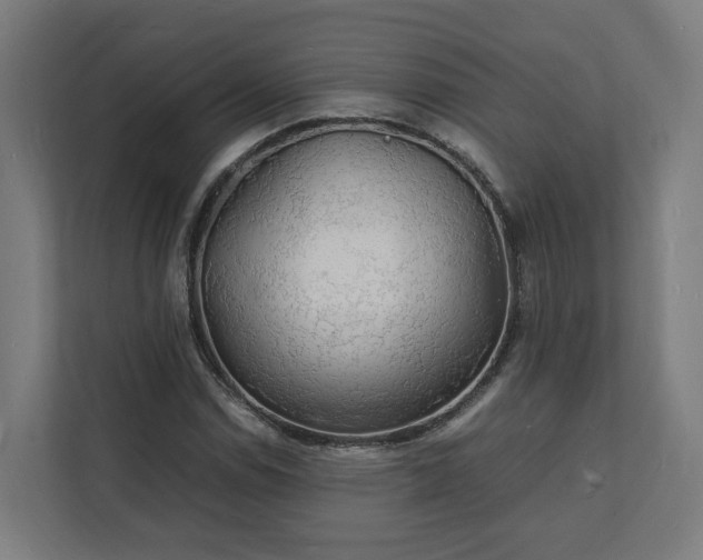X0000112151114200908211408