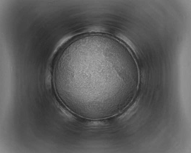 X0000112151115200908211408