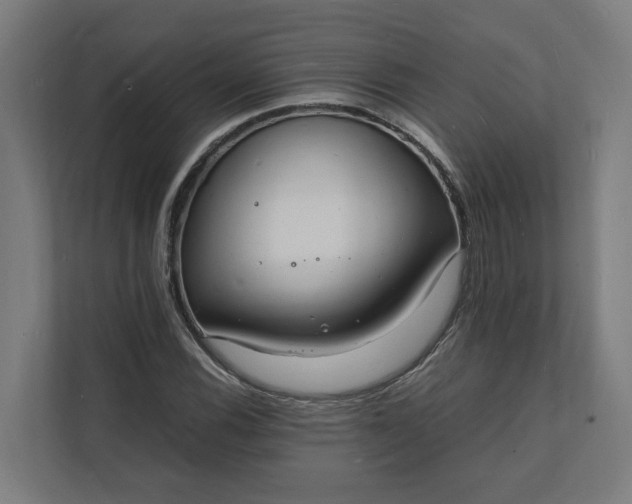 X0000112151116200908211408