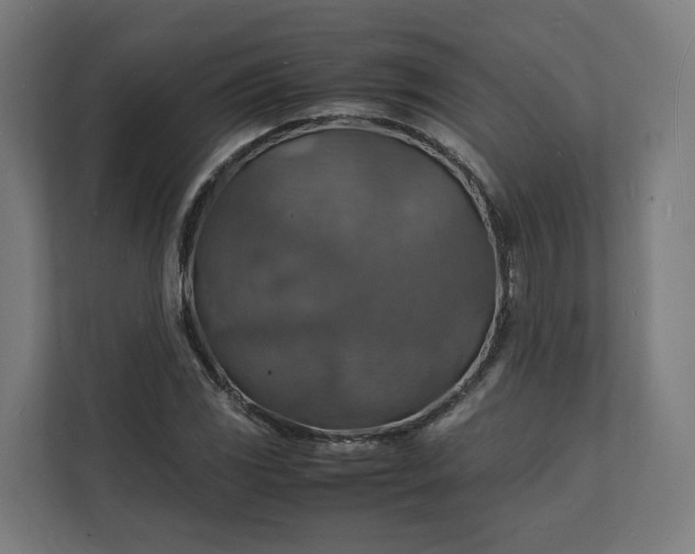 X0000112151117200908211408