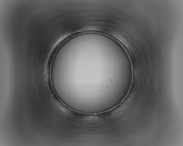 X0000112151119200908211408