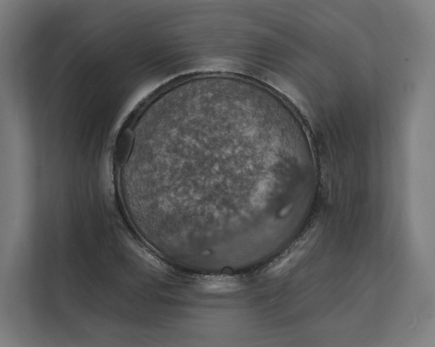 X0000112151120200908211408