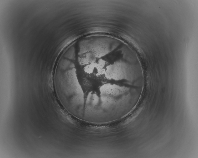 X0000112151121200908211408