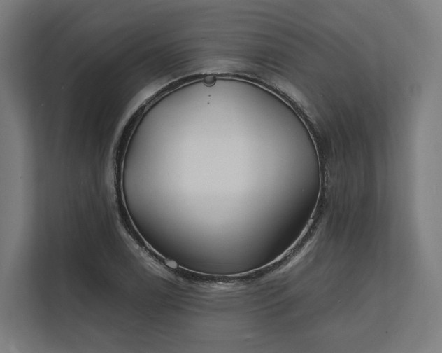 X0000112151122200908211408