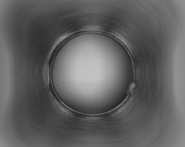 X0000112151123200908211408