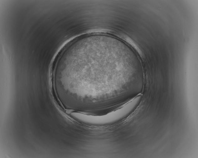 X0000112151124200908211408