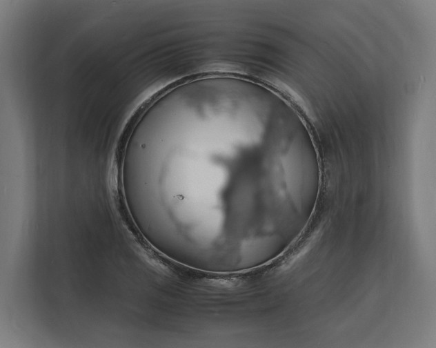 X0000112151125200908211408