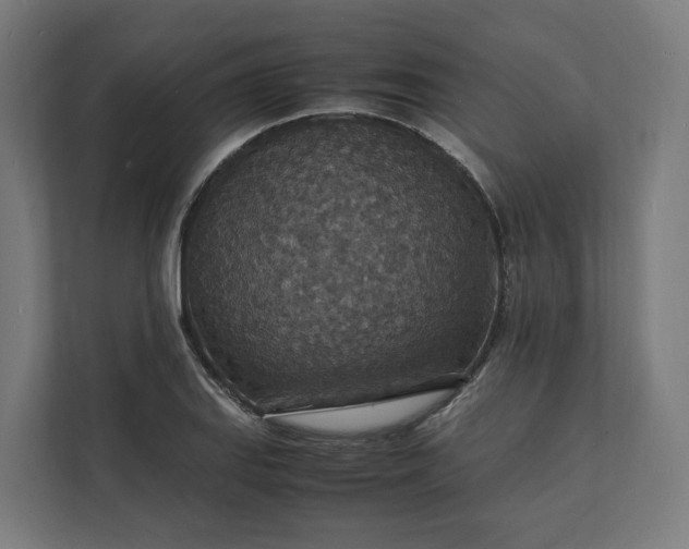 X0000112151127200908211408