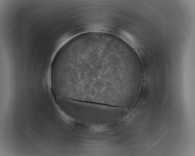 X0000112151128200908211408