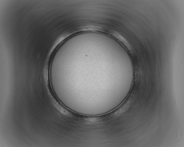 X0000112151130200908211408