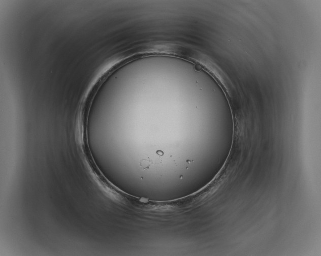 X0000112151131200908211408